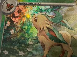 2025 POKEMON PRE EN-005 POKE BALL REVERSE HOLO LEAFEON FIND 70 2X, SHADOW ERROR - Image 2