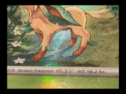 2025 POKEMON PRE EN-005 POKE BALL REVERSE HOLO LEAFEON FIND 70 2X, SHADOW ERROR - Image 5