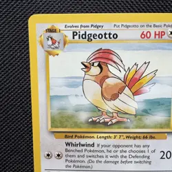 Pidgeotto 22/102 Pokemon Base Set Trading Card WOTC TCG Rare 1999 NM - Image 3