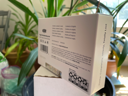 MTG Secret Lair - Fblthp: Completely, Utterly, Totally Lost - Non-Foil Edition - Image 2