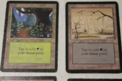 MTG Magic The Gathering Alpha/Beta / Unlimited Land Lot Swamp Mountain Forest - Image 3