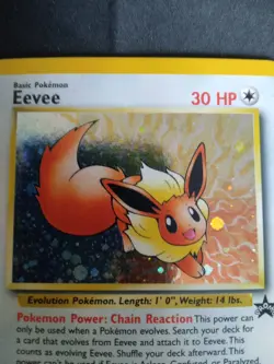Pokemon TCG Eevee - Holofoil #11 WOTC 2000 Black Star Promo holo - Image 3