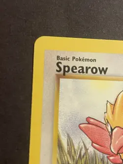 1st Edition Pokemon TCG Jungle Set Sparrow 62/64 Common NM - Image 3