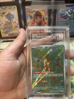 Pokemon Shuckle Mega base 136/132 Illustration Rare TAG 10 Gem Mint - Image 2
