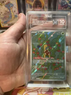 Pokemon Shuckle Mega base 136/132 Illustration Rare TAG 10 Gem Mint - Image 5