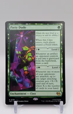 Party Dude Teenage Mutant Ninja Turtles Regular - Image 1