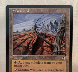 1x Wasteland Tempest Regular Uncommon NM - Image 2