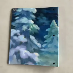 Pokemon Center Card Game Collection file Binder Hisuian Zorua Zoroark - Image 3