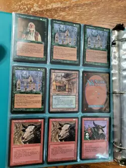 Magic the Gathering HOMELANDS Lot of Random Cards - Image 4