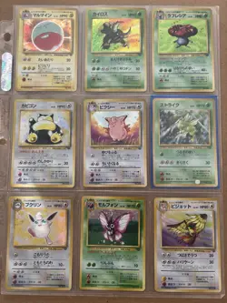 RARE Pokemon Japanese Jungle Hologram Set - Image 1