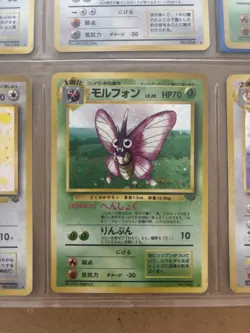 RARE Pokemon Japanese Jungle Hologram Set - Image 3