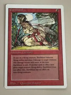 Earthbind- MTG - REVISED (3rd) - ENGLISCH - ©1994 M/NM Common - Image 1