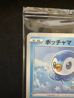 Pokemon Card Japanese Piplup 232/S-P Project Piplup PROMO Sealed - Image 2