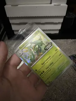 Pokemon TCG Perfect Order STAFF Promos Sealed Set of 4 New *Sealed* Near Mint nm - Image 1