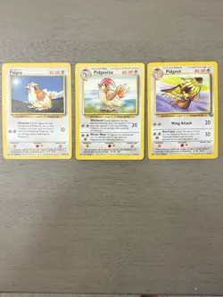 Pokemon TCG Pidgey Pidgeotto & Pidgeot Evolution Bundle Base Set - Image 1