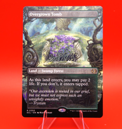 Overgrown Tomb | 350 | Rare | Borderless Regular | Lorwyn Eclipsed | MTG - Image 1