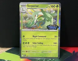 Serperior 064 Perfect Order POR Pre Release Black Star Promo Pokemon TCG NM - Image 1