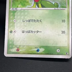 [No Import Duty (US)] Mudkip 003/019 Torchic Treecko 3set Japanese Pokemon Card - Image 5