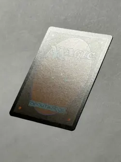 Wakka, Devoted Guardian Chocobo Track FOIL FIC 0477 (MTG Final Fantasy 2025) - Image 4