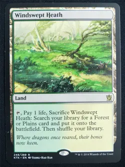 Windswept Heath - KTK - Mtg Card #20D - Image 1