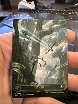 Forest (0266) (Borderless) Edge of Eternities Regular - Image 1