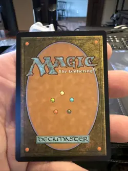 Forest (0266) (Borderless) Edge of Eternities Regular - Image 2