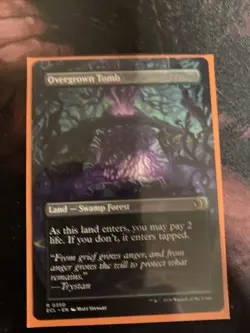 Overgrown Tomb (Borderless) Lorwyn Eclipsed Regular - Image 1