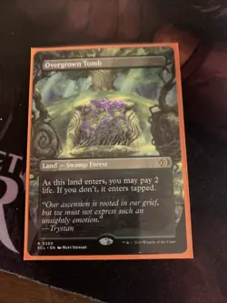 Overgrown Tomb (Borderless) Lorwyn Eclipsed Regular - Image 2