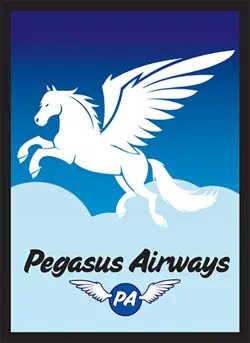 Legion 50 MTG Standard Card Sleeves Deck Protector - Pegasus Airways - Image 1