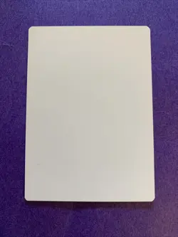 MTG Magic Snow-Covered Swamp Signed Artist Proof Modern Horizons Titus Lunter - Image 2