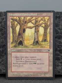 LP - Havenwood Battleground - Fallen Empires - Magic The Gathering Lightly Play - Image 1