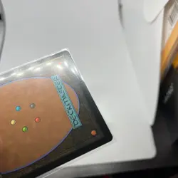 MTG Food Chain BORDERLESS FOIL 0133 TMC TMNT Pizza Box Exclusive - Image 4