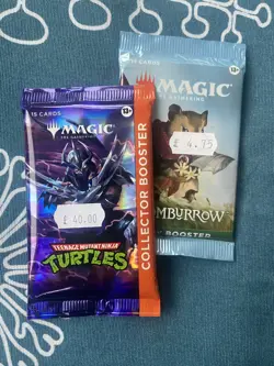2 Magic (MtG) Packs Teenage Mutant Ninja Turtles and Bloomburrow - Image 1