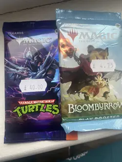 2 Magic (MtG) Packs Teenage Mutant Ninja Turtles and Bloomburrow - Image 5