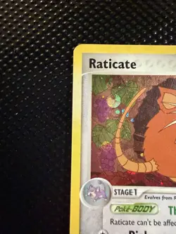 Pokemon TCG Raticate EX FireRed & LeafGreen Reverse Holo Uncommon 48/112 70 HP - Image 4