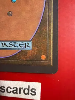 MTG Alliances Lake of the Dead Rare Vintage LP - Image 5