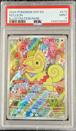 2024 POKEMON SSP EN KECLEON ILLUSTRATION RARE #213 MINT 💎 PSA 9 - Image 1
