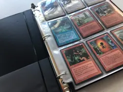 MTG, Magic the Gathering, Homelands, Complete Set, NM (140 cards) - Image 3