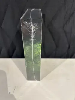 Magic The Gathering Commander Collection Green - Image 5