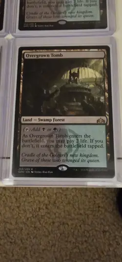 Qty 4 Overgrown Tomb - MTG - NM-Guilds of Ravnica - Image 3