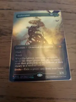 Endurance (Borderless) (Textured Foil) Special Guests Foil - Image 1