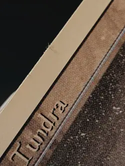 Tundra Revised Edition - Moderately Played - Image 3