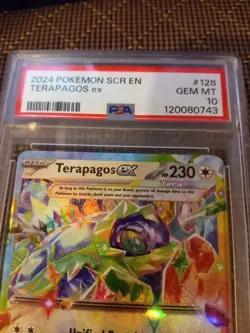 PSA 10 Terapagos ex 128/142 S&V Stellar Crown Double Rare Holo Pokemon TCG 2024 - Image 2