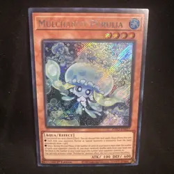 MULCHARMY PURULIA 1ST EDITION SECRET RARE INFO-EN027 YUGIOH! NM - Image 1