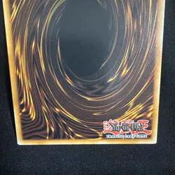Garura, Wings of Resonant Life Quarter Century Secret Rare RA02-EN024 Yugioh 1st - Image 5