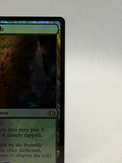 Overgrown Tomb - Lorwyn Eclipsed (ECL) Foil Rare Land Magic The Gathering Card - Image 2