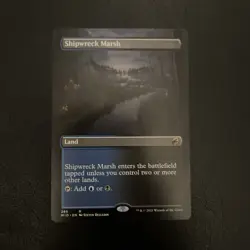 MTG Shipwreck Marsh Borderless MID - Image 1