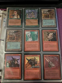 Magic the Gathering Homelands Complete Set NM/M 140/140 W/Binder - Image 1
