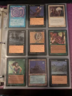 Magic the Gathering Homelands Complete Set NM/M 140/140 W/Binder - Image 4