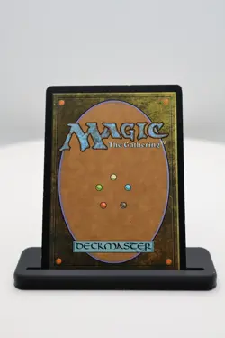 1x Darkness MP Time Spiral Timeshifted (TSB) MTG Magic the Gathering - Image 3